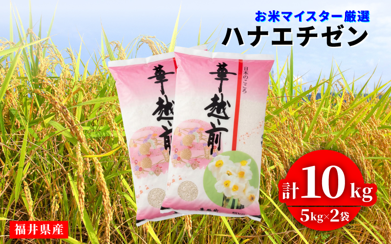 令和8年産 新米 ハナエチゼン 10kg（5kg × 2袋）
