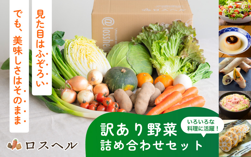 ＜ロスヘル＞多数のメディアで紹介されました！【訳あり】旬のもったいないお野菜詰め合わせセット