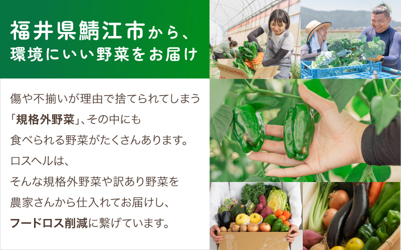 ＜ロスヘル＞多数のメディアで紹介されました！【訳あり】旬のもったいないお野菜詰め合わせセット