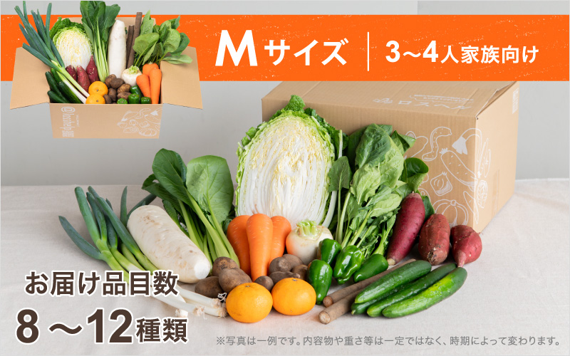 ＜ロスヘル＞多数のメディアで紹介されました！【訳あり】旬のもったいないお野菜詰め合わせセット