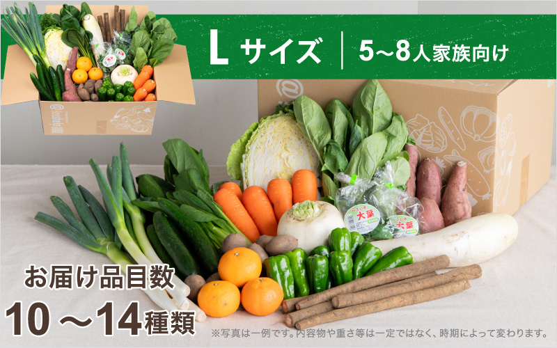 ＜ロスヘル＞多数のメディアで紹介されました！【訳あり】旬のもったいないお野菜詰め合わせセット