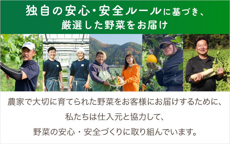 ＜ロスヘル＞多数のメディアで紹介されました！【訳あり】旬のもったいないお野菜詰め合わせセット
