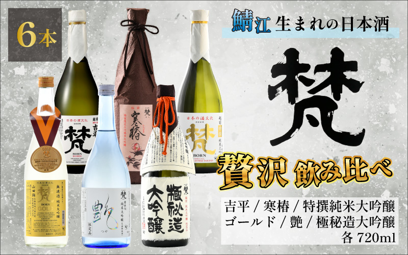 【鯖江の銘酒を贅沢に飲み比べ】【先行予約】【限定120セット】【2026年2月17日～順次発送】世界の梵 日本酒6種飲み比べ