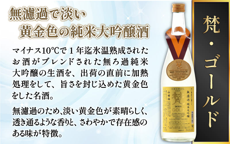 【鯖江の銘酒を贅沢に飲み比べ】【先行予約】【限定120セット】【2026年2月17日～順次発送】世界の梵 日本酒6種飲み比べ