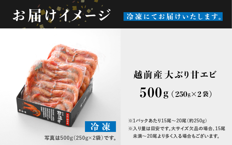 【小分け】越前産 冷凍 甘えび 大サイズ 約250g × 2パック 合計約500g