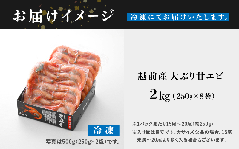 【小分け】越前産 冷凍 甘えび 大サイズ 約250g × 8パック 合計約2.0kg