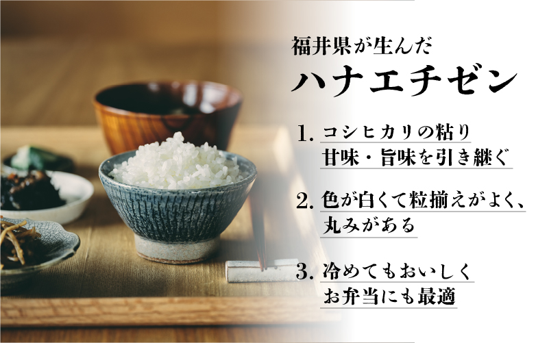 令和7年産 ハナエチゼン 10kg（5kg × 2袋）