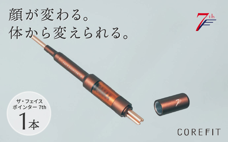 【9月中旬以降 順次発送予定】美顔のためのホームケア用品 Face Pointer2 フェイスポインター2（リニューアル品）