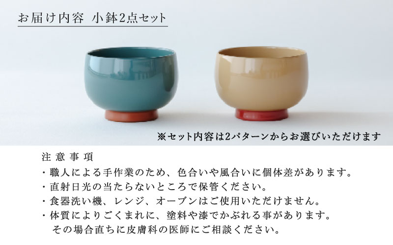 【ふるさと納税限定】【選べるセット】aisomo cosomo 小鉢2点セット ツートンカラーのPOPな越前漆器＜100%天然漆＞【老舗塗師屋創業230年】