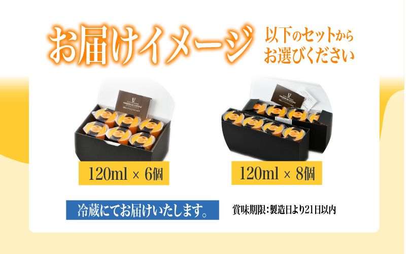 【選べる個数！】マンゴーの王様プリン 120ｍl 6個入り / 8個入り