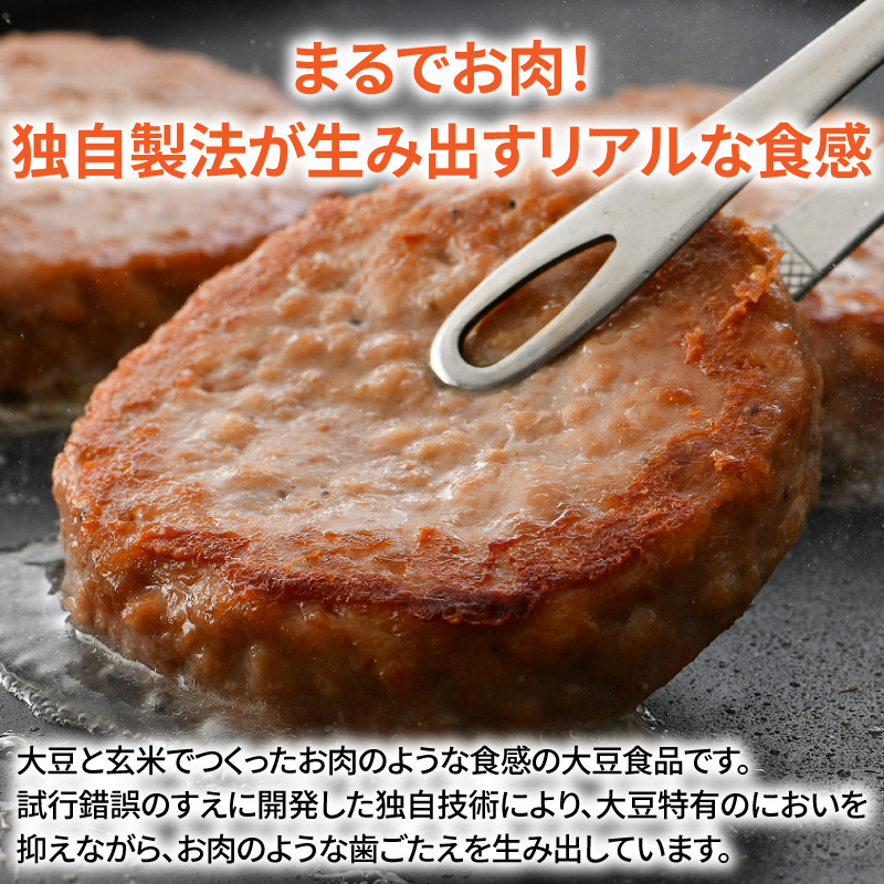 大豆と玄米のベジミート3種セット