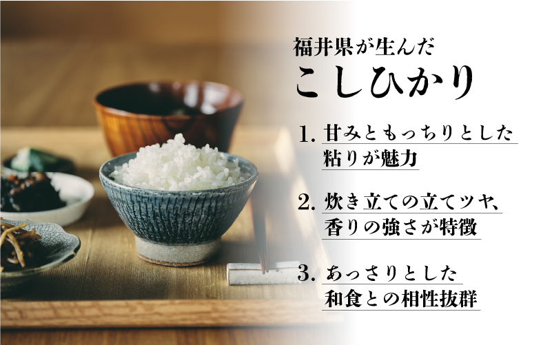 令和7年産 コシヒカリ 10kg（5kg × 2袋）×1回