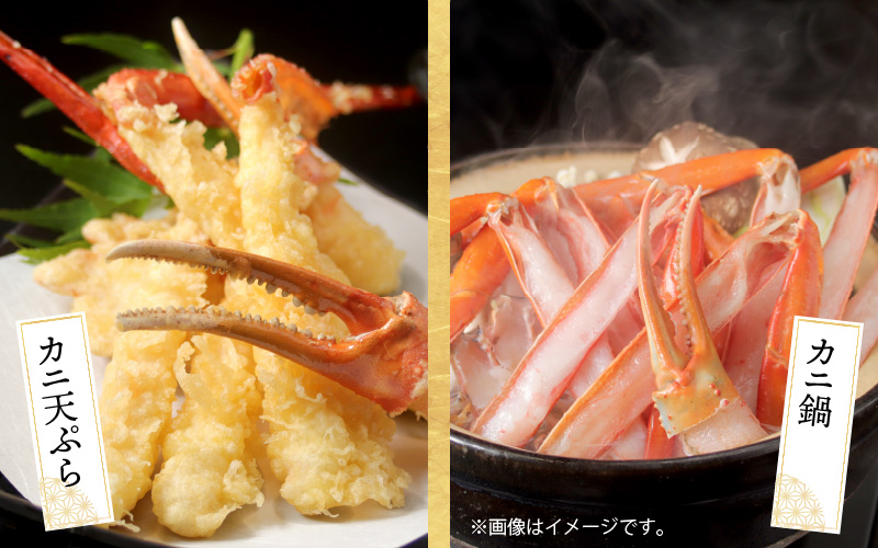 【越前産】【最新の冷凍技術】紅ずわいがに 脚棒のみ ハーフポーション（半むき身）600g 1.2kg 1.8kg