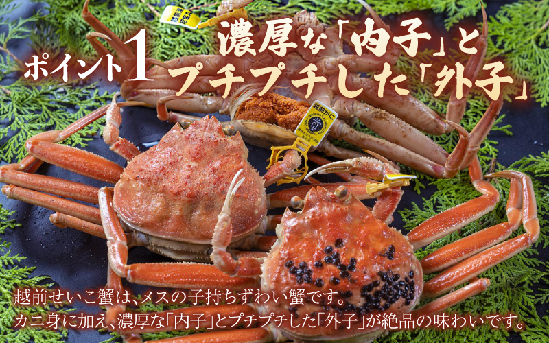 【選べる容量】海鮮丼の具　越前せいこ蟹（タレ付き）3人前/5人前