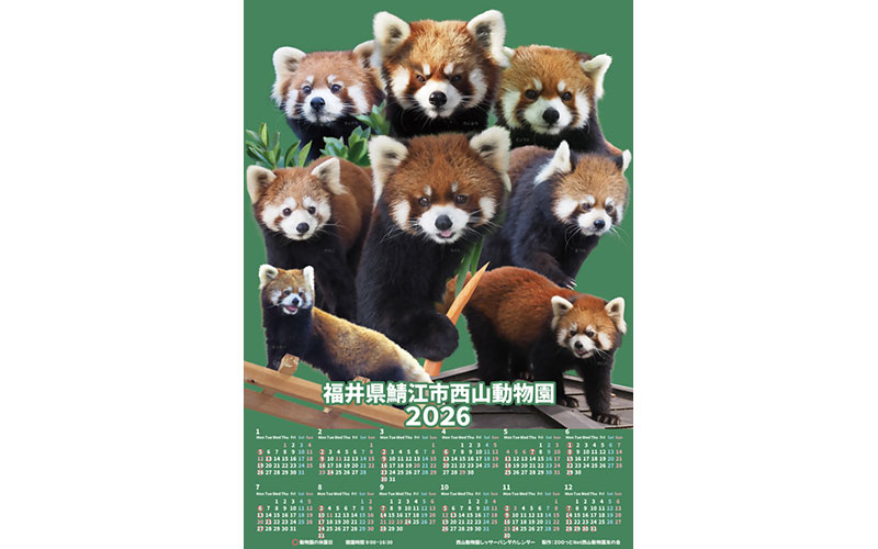 西山動物園レッサーパンダカレンダー2026